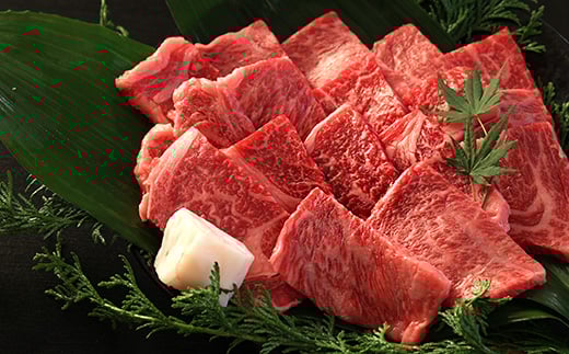 丹波篠山東門牛至宝の焼き肉セット（500g） 兵庫県 丹波篠山市 産直 精肉店直送 高級 ハレの日 贅沢 グルメ 美味しい