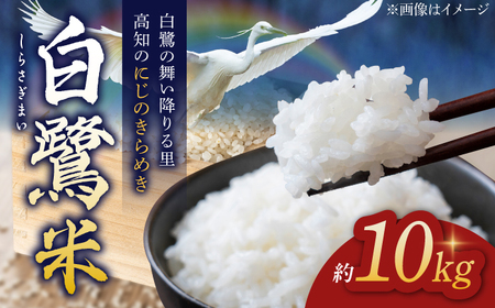 【先行予約】 農薬節減！ R7年度産 白鷺米 にじのきらめき 約10kg ＜2025年9月中旬から発送＞ / 高知 米 お米 精米 　【津ノ宮農園】[ATBV016]