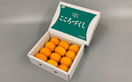 【訳あり・優品】今村農園のハウスみかん 約1.5kg 2025年 7月 夏 発送 果物 期間限定 九州 ＜107-002_7＞