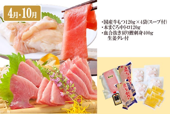 定期便(6回)枕崎お楽しみ便(A5等級黒毛和牛・まぐろ・かつおetc) GG-0046【1166768】 _ ふるさと納税 定期便 肉 牛肉 サーロイン ステーキ 焼肉 切り落とし もつ鍋 海鮮 魚介