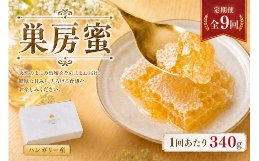 【 9回定期便 】 ハンガリー産 巣房蜜 巣蜜 コムハニー はちみつ ハチミツ 蜂蜜 ハニー 蜜 巣 杉養蜂園 定期便