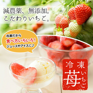 No.1183 ＜先行予約受付中！＞冷凍いちご(計約2.55kg・約850g×3P) 国産 九州産 苺 いちご イチゴ 冷凍 果物 フルーツ 減農薬 アイス【片平観光農園】