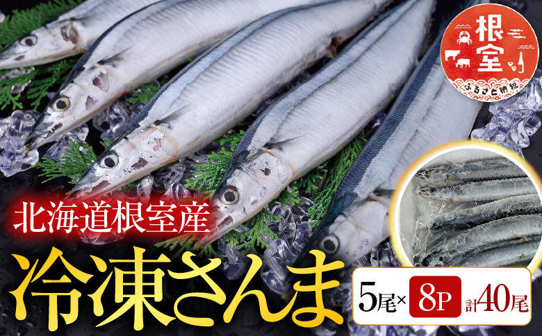 【北海道根室産】冷凍さんま5尾×8P(計40尾) C-76001