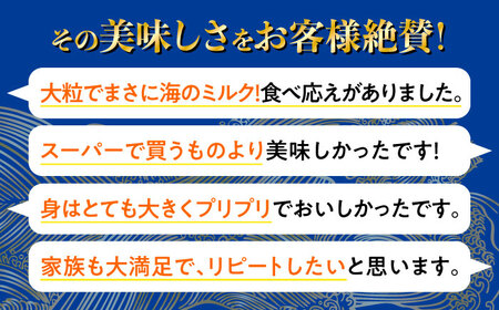 広島G7で提供された牡蠣！【生牡蠣】【着日指定可能】やながわ自慢！ むき身 牡蠣 500g かき 海鮮 和食 海産物 簡単 レシピ 広島県産 江田島市/マルサ・やながわ水産有限会社[XBL025]