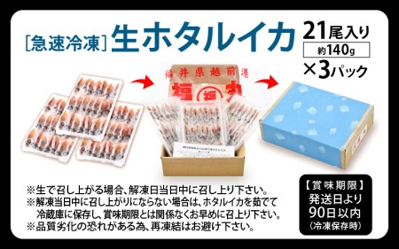 急速冷凍 生 ホタルイカ 21尾入 × 3パック 合計約420g（刺身・しゃぶしゃぶ用） 上品な甘みを存分にお楽しみください！ [e15-a014]