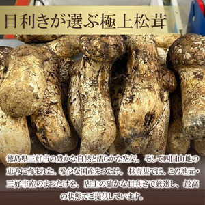 三好市産松茸 200g 2～5本 まつたけ 【 まつたけ 】