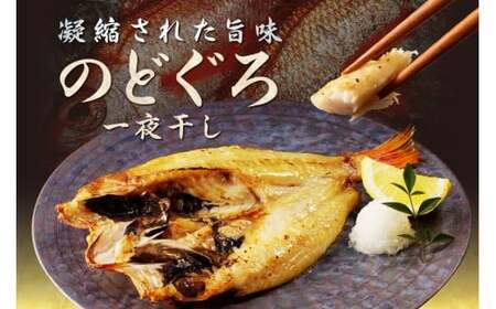 山陰浜田港水揚げされた人気干物セット 【025_0428】
