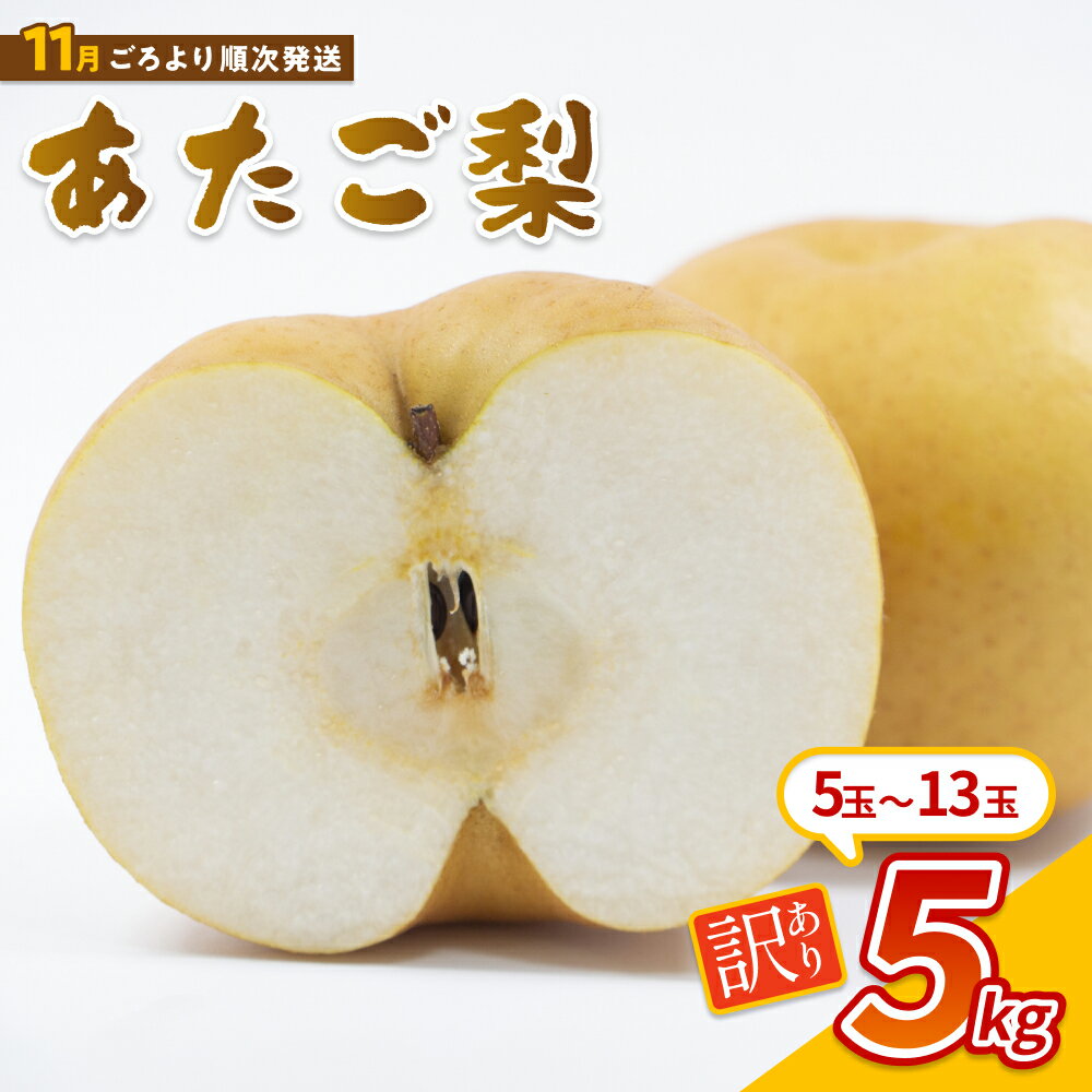 【ふるさと納税】【先行予約】訳あり 中野農園 梨 ”あたご梨” 5kg箱｜鳥取 岩美 梨 なし ナシ あたご梨 愛宕梨 果物 フルーツ※お届けは2026年11月以降【41082】