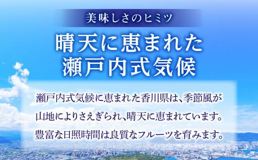 さぬきエンジェルスイート 約2.2kg【2025年11月中旬～2026年1月中旬配送】