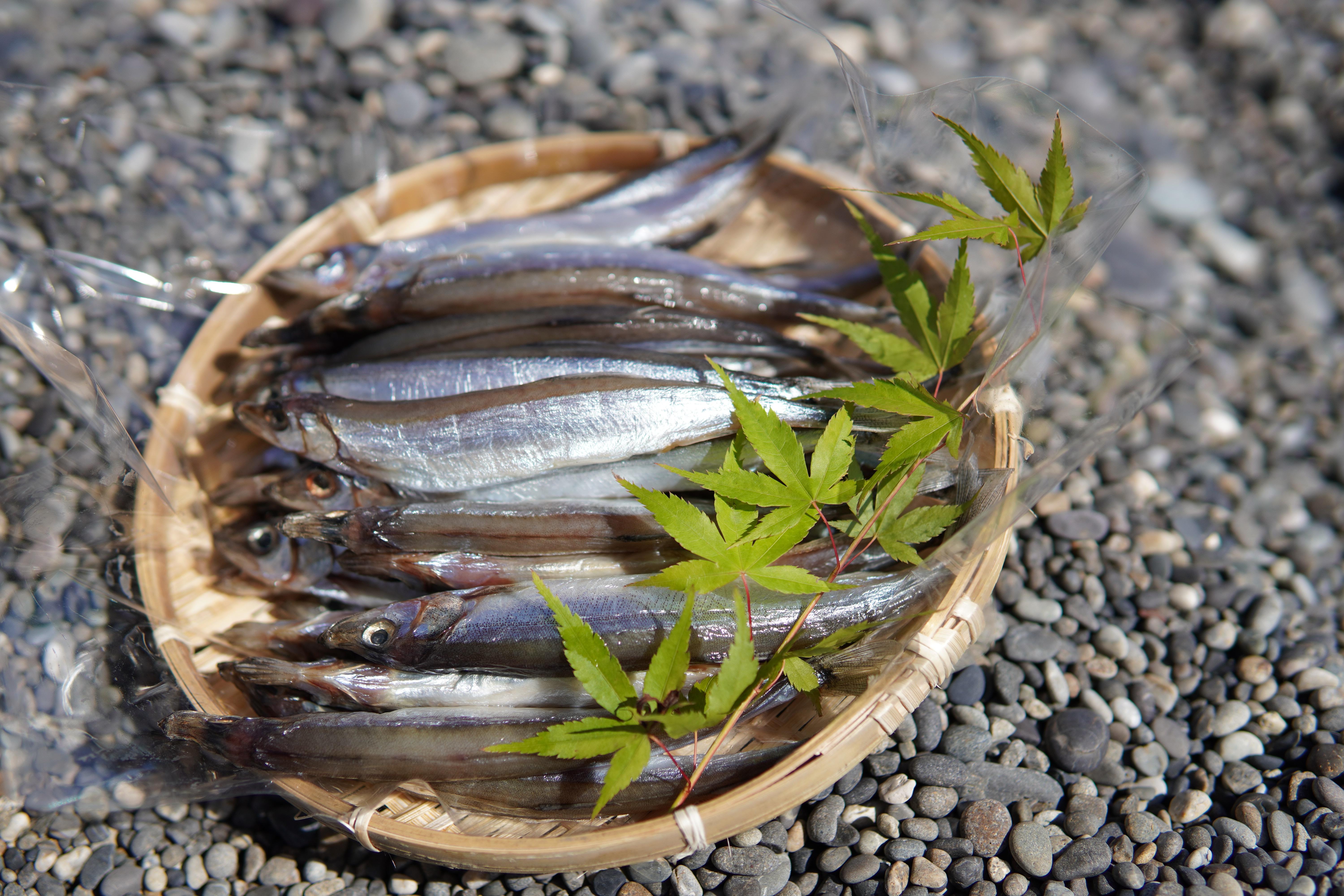 香酸柑橘と海洋深層水で美味しく減塩　減塩干物セット【しし岩】あじ アジ さんま 秋刀魚 かぺりん ししゃも