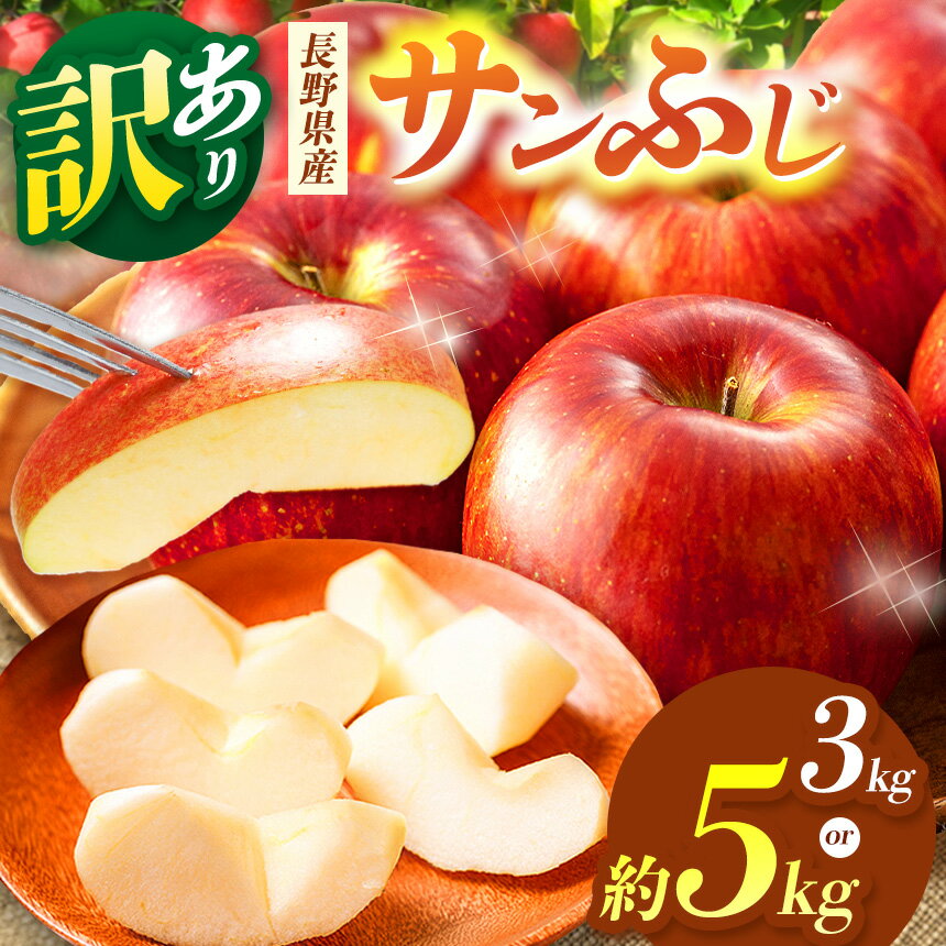 【ふるさと納税】【先行受付：2026年発送】【選べる】松本市産 訳ありサンふじ 約3kg or 5kg | ふるさと納税 果物 訳あり くだもの フルーツ サンふじ リンゴ りんご 林檎 信州産 長野県 松本市