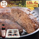 【ふるさと納税】くまモンあか牛ハンバーグセット 120g×6個 たれ付き 200ml あか牛 赤牛 熊本和牛 和牛 ハンバーグ 牛 牛肉 肉 お肉 おかず 惣菜 セット 詰め合わせ 冷凍 九州 熊本県 菊陽町 送料無料