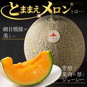 【2026年7月中旬から発送】とままえメロン 2玉 計3.2kg前後 大玉サイズ 北海道産 先行 予約 受付 赤肉 甘い 糖度14度 旬 産地直送 めろん フルーツ 果物 デザート 北海道 苫前町 と