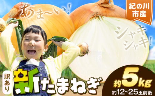 シャリっと旬の味 訳ありたまねぎ 新玉ねぎ 紀の川市産 約5kg(約12-25玉前後) 不選別《5月下旬-7月中旬頃出荷》和歌山県 紀の川市 送料無料 野菜 玉葱 新玉ねぎ 新たま 旬 お取り寄せ 訳あり野菜 訳あり玉ねぎ 訳あり 玉ねぎ