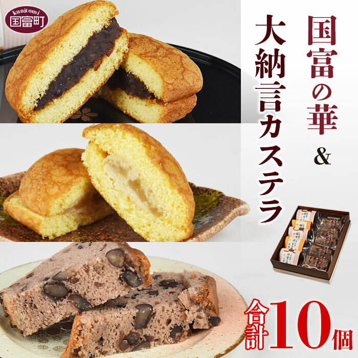 【ふるさと納税】＜国富の華＆大納言カステラセット 3種類 合計10個＞※入金確認後、2か月以内に順次出荷します。かすてら 小豆 あんこ 日向夏 焼き菓子 お菓子 詰め合わせ 洋菓子 スイーツ おやつ お茶請け 食べ比べ 宮崎県 国富町【常温】