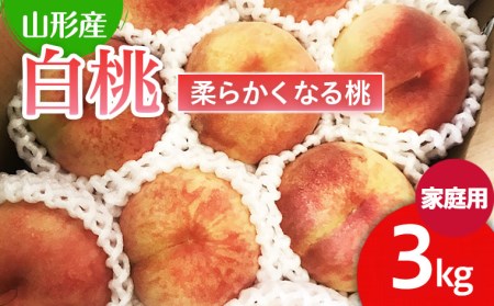  【ご家庭用】山形の桃(白桃) 3kg(6～12玉) 9月発送 (品種おまかせ)[柔らかくなる桃] 【令和8年産先行予約】FU22-782