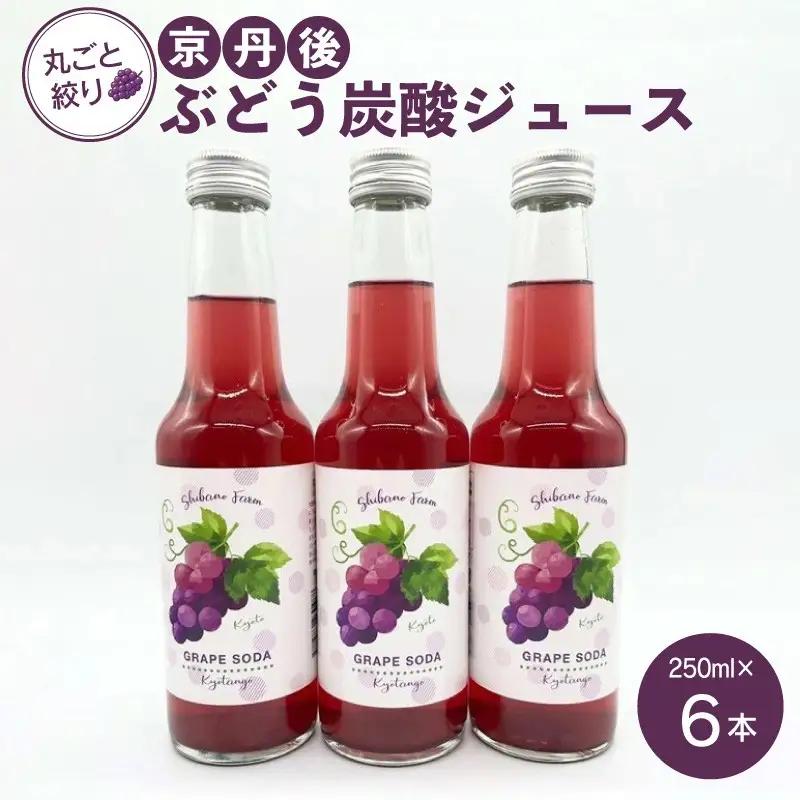 京丹後のぶどう炭酸ジュース（ソーダ） 小瓶6本入り（2026年11月中旬～発送）京丹後 ぶどう 葡萄 炭酸ジュース ソーダ しばの 飲料 ジュース ふるさと納税 ぶどう ふるさと納税 ジュース