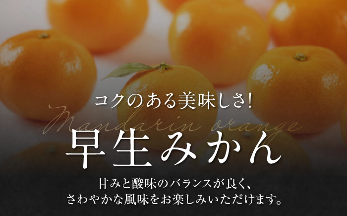 【先行予約】【11月中旬から順次発送】【期間・数量限定】愛媛県産 早生みかん 赤秀5kg箱 果物 フルーツ みかん ミカン 早生みかん 愛媛県大洲市/愛媛たいき農業協同組合[AGAO005]