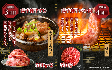 【6か月定期便】高千穂牛煮込み料理6か月定期便 高千穂牛 牛肉 肉 お肉 定期便 定期 国産牛 ブランド牛 和牛 すね肉 ロース 肩ロース 牛すじ バラ 牛バラ ハンバーグ スライス 煮込み カレー 