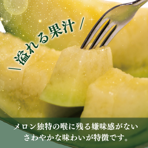 【011-31】【令和6年10月発送分】南張 メロン １個 川口農園 / ふるさと納税 フルーツ 果物 果実 新鮮 お取り寄せ melon 伊勢志摩 産直 三重県 志摩市 浜島町