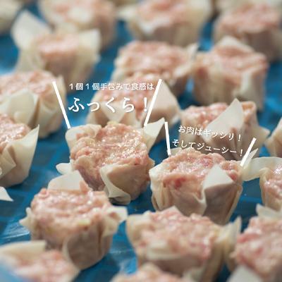 ふるさと納税 香取市 【訳あり】千葉県香取市産三元豚　大粒肉焼売 20個【1kg(50g×20個入)】 |  | 01