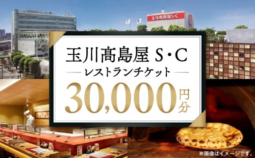 世田谷区ふるさと納税限定お礼品　二子玉川から望む世田谷区の街とグルメを楽しむ　玉川高島屋Ｓ・Ｃレストランチケット（30,000円分）【高島屋選定品】 チケット 食事券 お食事券 レストラン デパート 東京 二子玉川 ランチ ディナー ギフト プレゼント 贈り物 贅沢 ご褒美 おすすめ