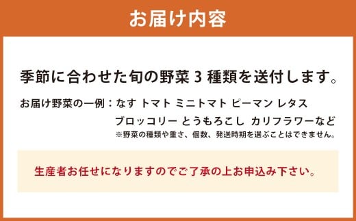 A322 アッキーファームの旬の野菜詰合せ福袋 （野菜3種） _イメージ4