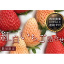 【ふるさと納税】【期間限定発送】紅白いちご 24個入り [築宝 山梨県 中央市 21470221] いちご イチゴ 苺 フルーツ 果物 くだもの 季節限定 期間限定 冷蔵