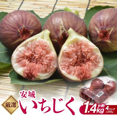 ふるさと納税 安城市 厳選　安城いちじく　約1.4kg(350g×4パック)