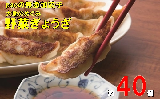 paoの無添加餃子「大地のめぐみ 野菜ぎょうざ」840g(約40個) 餃子 ギョーザ 惣菜 冷凍 中華 点心 おかず おつまみ 国産野菜 058007