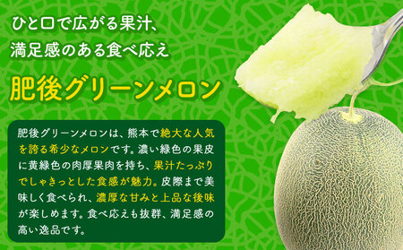 小玉スイカ&肥後グリーンメロン 食べ比べ 各1玉(計2玉 約3.5kg)  日本フルーツ株式会社 《5月中旬-7月末頃出荷》 熊本県 菊池市 西瓜 メロン 熊本県産