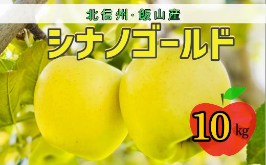 【先行予約】シナノゴールド【約10ｋｇ(24〜36玉)】(7-A25-3)
