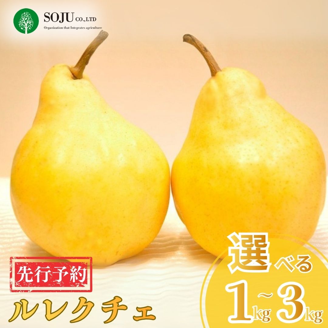 【ふるさと納税】先行予約 ル レクチェ 約1kg～3kg 選べる数量 洋梨 JGAP認証農場 新潟県 三条市産 ル レクチエ 期間限定 冬限定 幻の西洋梨 フルーツ 秋 旬 洋梨 ル・レクチェ [三条果樹専門家集団]【016P026】