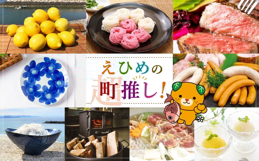 【愛媛県産】愛媛県産 おらが自慢の伊方ジュース 2種セット 合計6本 1L×6本【えひめの町（超）推し！（伊方町）】（286）