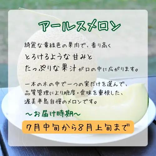 青果市場の野菜ソムリエ厳選 ジューシー メロン 2兄弟 定期便 全2回