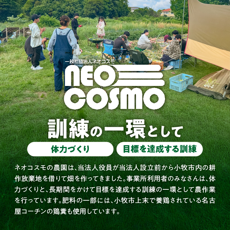 ★障がい者支援施設応援品★ ネオコスモ農園で採れた小牧の野菜詰め合わせ ［124N02］