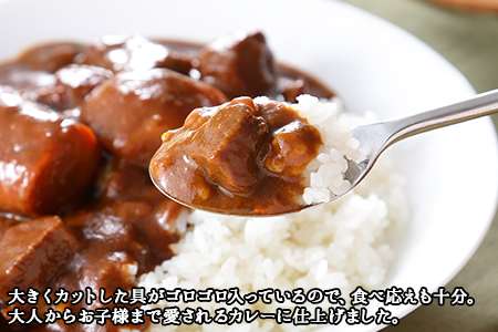 582.ビーフカレー ＆ チキンレッグ スープカレー 食べ比べ 10個 セット 中辛 牛肉 チキン業務用 レトルトカレー 野菜 備蓄 まとめ買い 送料無料 北海道 弟子屈町