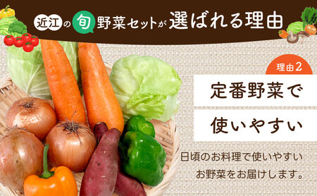 季節の旬野菜セット　A51　一般財団法人 愛の田園振興公社【野菜 詰め合わせセット 野菜セット 旬の野菜 野菜 詰め合わせセット 野菜セット 旬の野菜 野菜 詰め合わせセット 野菜セット 旬の野菜 野