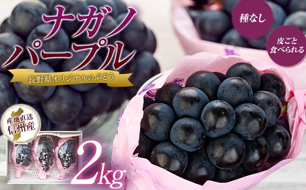 
            ぶどう ナガノパープル 2kg 葡萄 ブドウ 長野パープル 果物 くだもの フルーツ 旬の果物 旬のフルーツ 信州 長野 長野県 [№5675-1158]
          