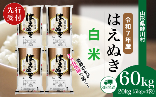 ＜令和7年産米先行受付＞ 山形県産 はえぬき 【白米】60kg定期便(20kg×3回)　配送時期指定できます！