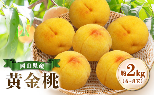 【先行受付|8月下旬頃より順次発送】岡山県産『黄金桃』　約2kg(6~8玉)【配送不可地域：離島・北海道・沖縄県】