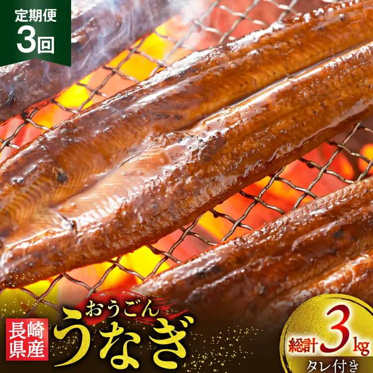 うなぎ 国産 蒲焼 長崎県産 おうごんうなぎ 松 セット 約1kg 6尾～8尾 3回 定期便 総計 約3kg [松永水産 長崎県 平戸市 hr42bvj550002] 鰻 うな重 うな丼 ひつまぶし 蒲焼き かばやき タレ付き 養殖 国内産 冷凍 unagi