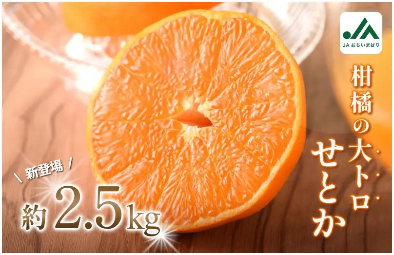 【先行予約】せとか（家庭用）レギュラー箱 約2.5kg
