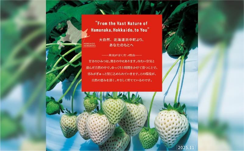 《数量限定》赤白いちごの贅沢食べ比べセット(合計2パック) BELL RICH_H0049-100