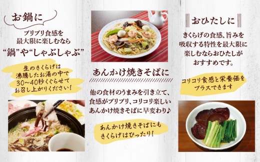 南国きくらげ 生・乾燥セットA　C070-002