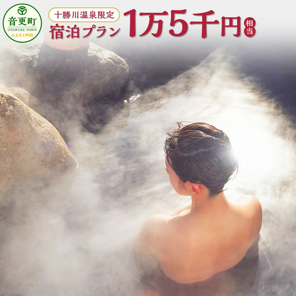 【ふるさと納税】十勝川温泉限定宿泊プラン （1万5千円相当）（※指定旅行業者を通してお申込みいただけます） 温泉 旅館 ホテル レジャー施設 宿泊 旅行 観光 トラベル 北海道 十勝 音更町