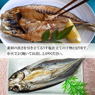 ふるさと納税 長崎市 【2ヵ月毎定期便】長崎五島灘一汐干しセット全6回 |  | 01