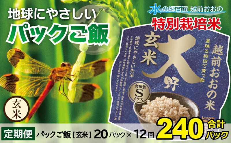 【ふるさと納税】【12ヶ月定期便】地球にやさしいパックご飯 20食入り【玄米】×12回 計240食　減農薬・減化学肥料 特別栽培米 地球にやさしいお米 N-003003 コシヒカリ こしひかり 防災 備蓄 パックご飯 150g パックごはん パックライス コンシェルジュ 頒布会