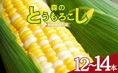 【テレビで紹介されました！】とうもろこし 先行予約 森のとうもろこし 12～14本 甘い 野菜 夏野菜 旬 夏 高糖度 産地直送 旬の野菜 季節の野菜 おやつ 行列のできる コーン 先行 予約 2026年 静岡 森町 冷蔵 冷蔵配送