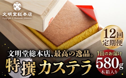【全12回定期便】【木箱】特撰カステラ 580g 長与町/文明堂総本店 [EAK004] カステラ かすてら 長崎 贈答 ギフト お土産 デザート 熨斗 人気 和菓子 かすてら ざらめ ザラメ お取り寄せ 文明堂 定期 定期便